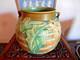 Luffa Roseville 1934 Brown Bulbous Vase Mint 6. (#2)