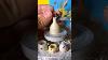 Making Mini Pottery Vase Craft Miniature Pottery Ceramic Art