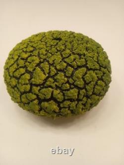 Randy O'Brien Lichen Ceramic Bud Vase Vessel Green Black Handmade Artist Signed