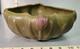 Rare Vintage Van Briggle Art Pottery Tulip Bowl/vase Withfrog