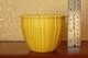 Sweet Rookwood Pottery Arts Crafts Mini Cachepot Xxxi 1931 #6076 Matte Yellow